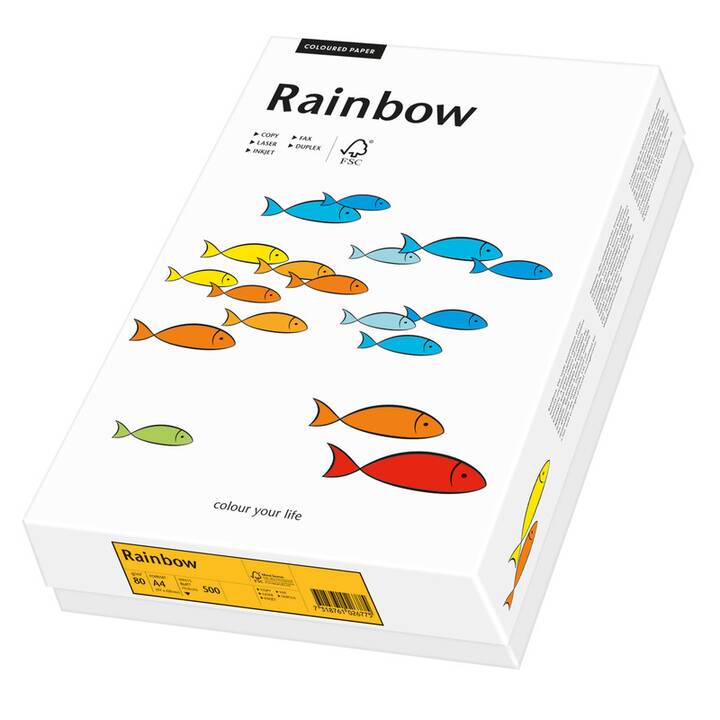 PAPYRUS Rainbow Papier Carta colorata (500 foglio, A4, 80 g/m2)