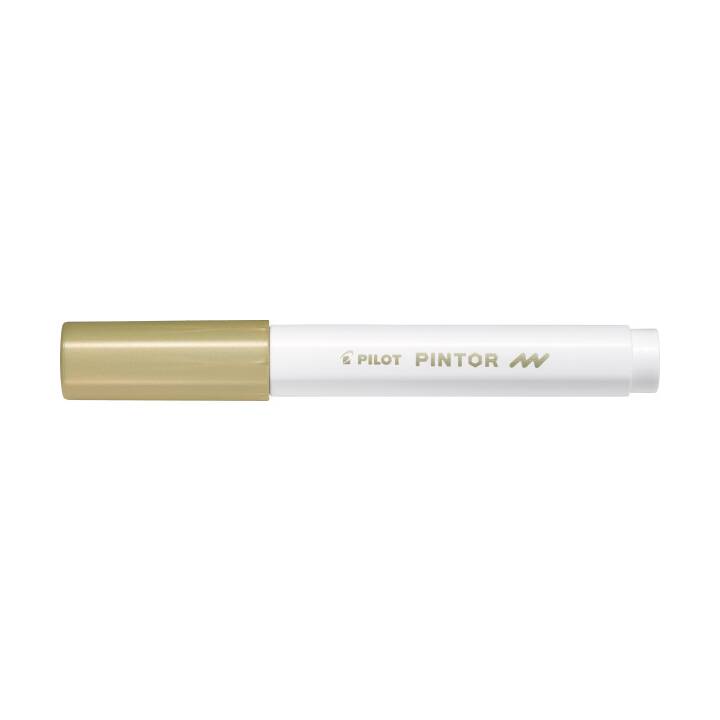 PILOT PEN Pennarello indelebile Pintor (Oro, 1 pezzo)