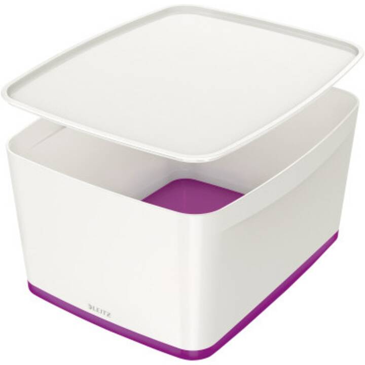 LEITZ Aufbewahrungsbox MyBox (38.5 cm x 31.8 cm x 19.8 cm)