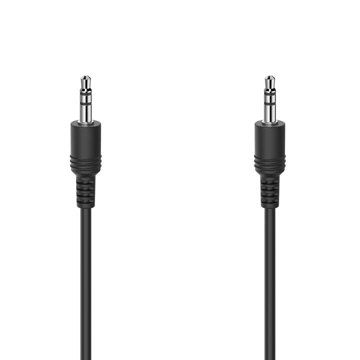 INTERTRONIC Câble adapteur (Jack 3.5 mm, 1.5 m)