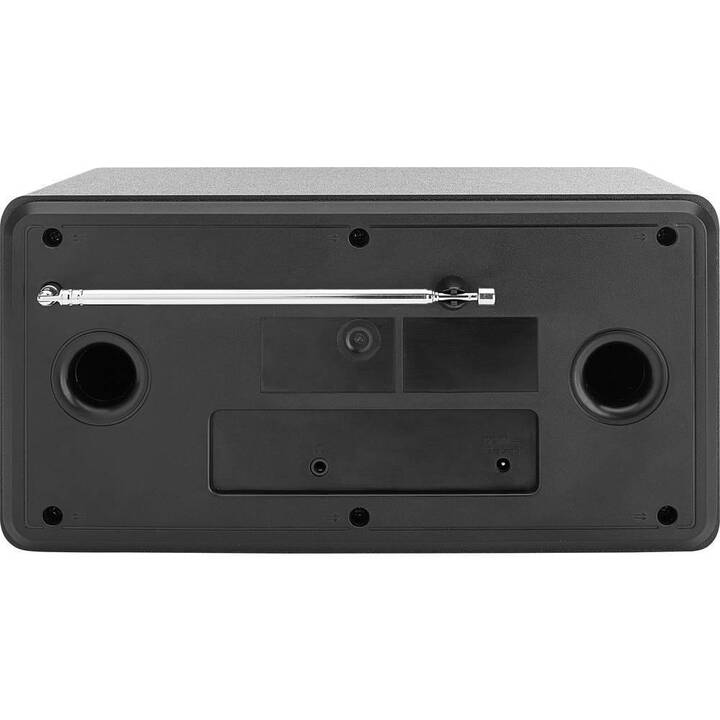 DUAL IR 100 Radio internet (Argento, Nero)