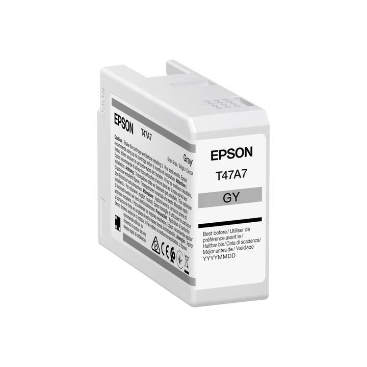EPSON T47A700 (Gris, 1 pièce)