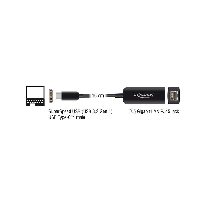 DELOCK Netzwerkadapter (USB C, RJ-45, 0.16 m)