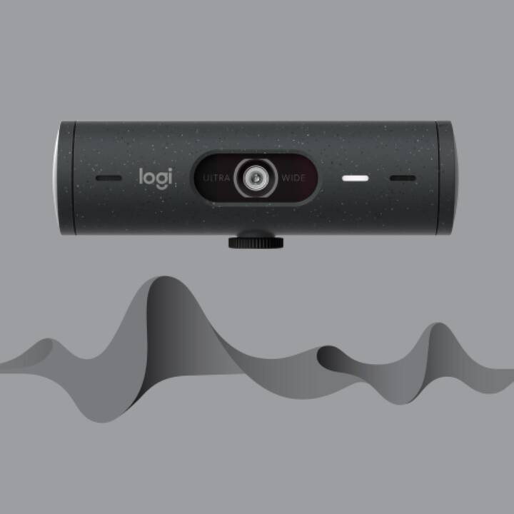 LOGITECH Brio 500 Webcam (4 MP, Graphit)