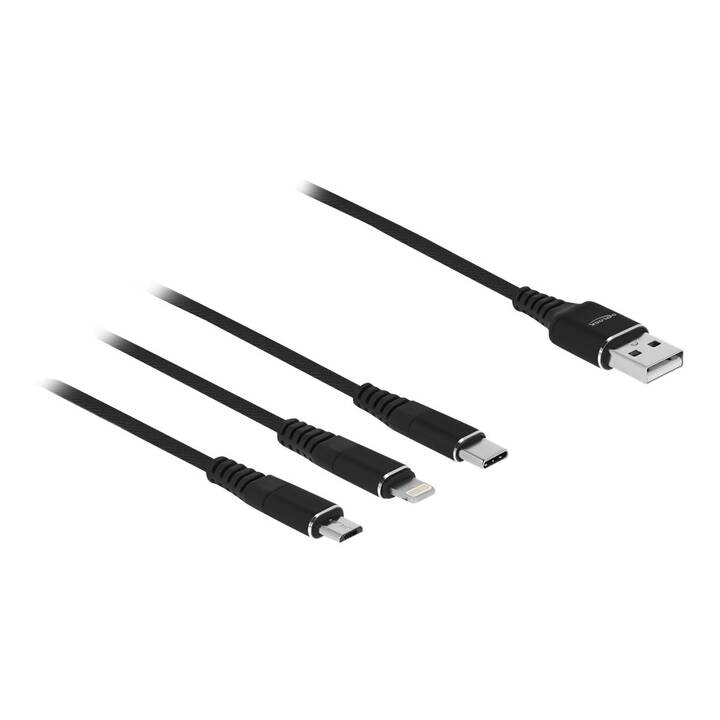 DELOCK Câble (USB 2.0 Type-A, USB 2.0, 30 cm)