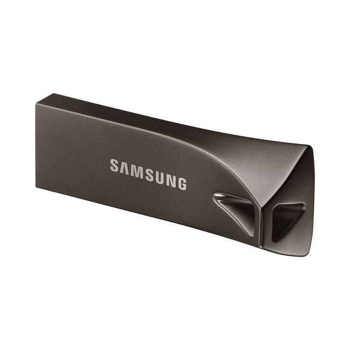 SAMSUNG Titan (256 GB, USB 3.1 Typ-A)