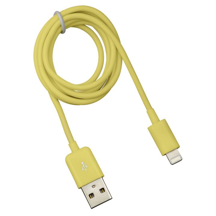 DEXIM iPod/iPhone/iPad USB DEXIM Câble de chargement parafoudre USB