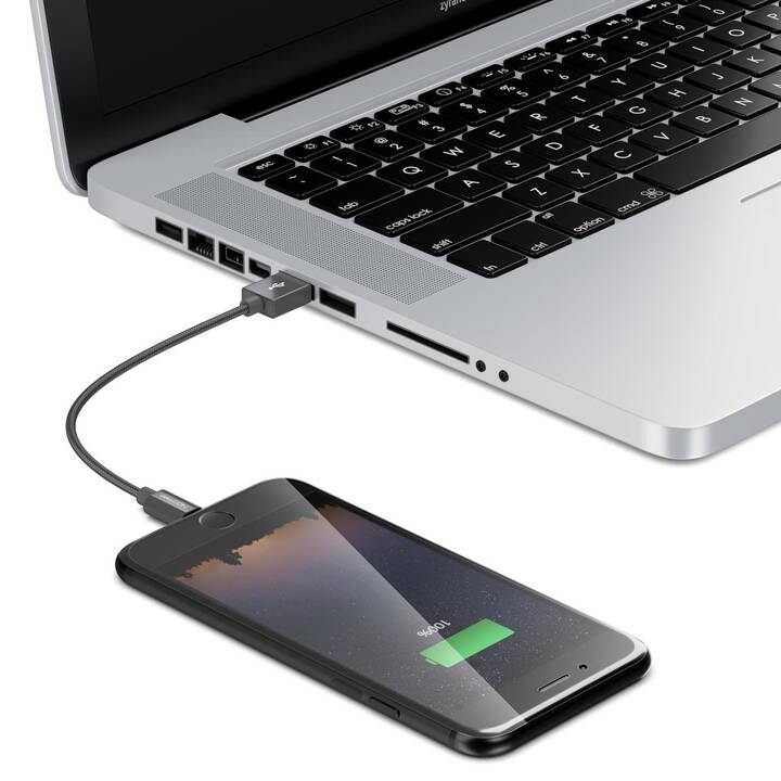 DELEYCON Cavo (USB 2.0, Lightning, 0.5 m)