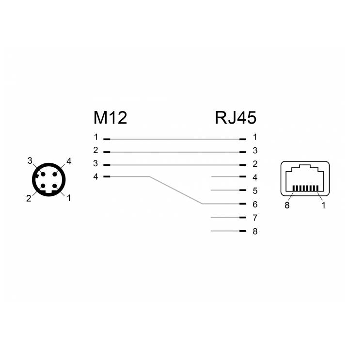 DELOCK Adapter (M12, RJ-45)