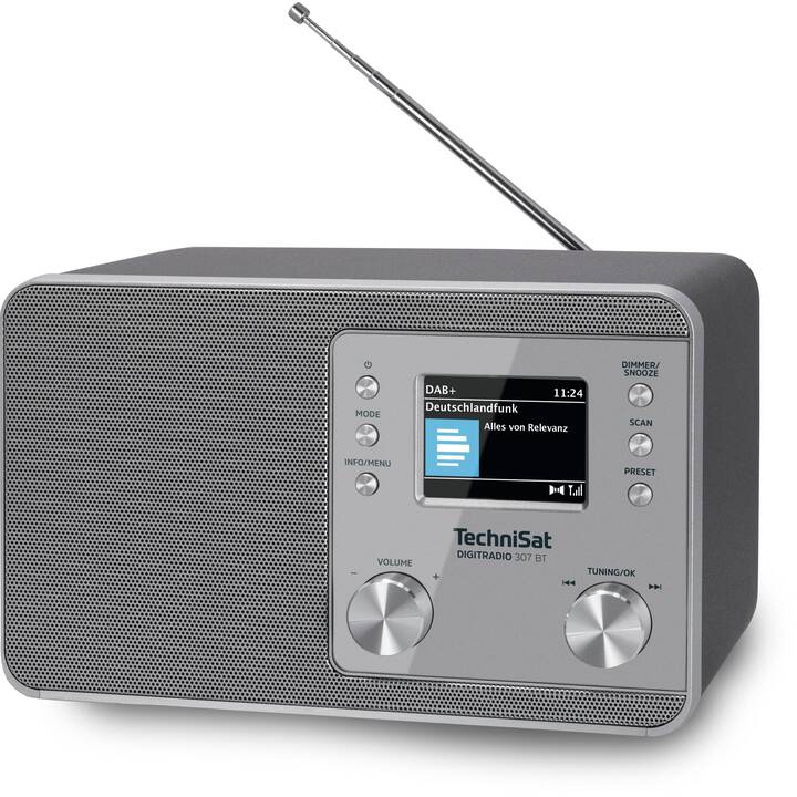 TECHNISAT 307BT Radios numériques (Argent)