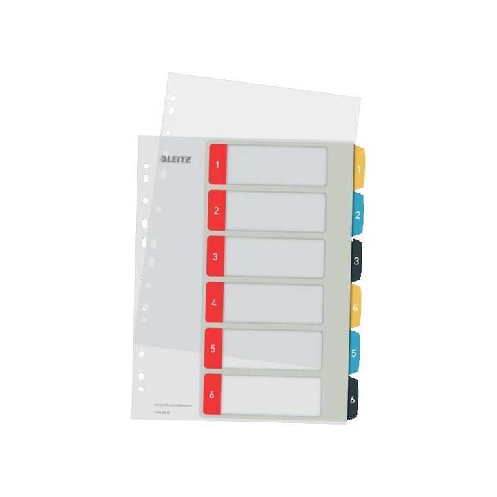 LEITZ PC-beschriftbares Registro (6 x A4, Coloristico)