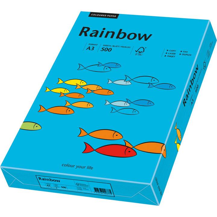 PAPYRUS Rainbow Farbiges Papier (500 Blatt, A3, 80 g/m2)