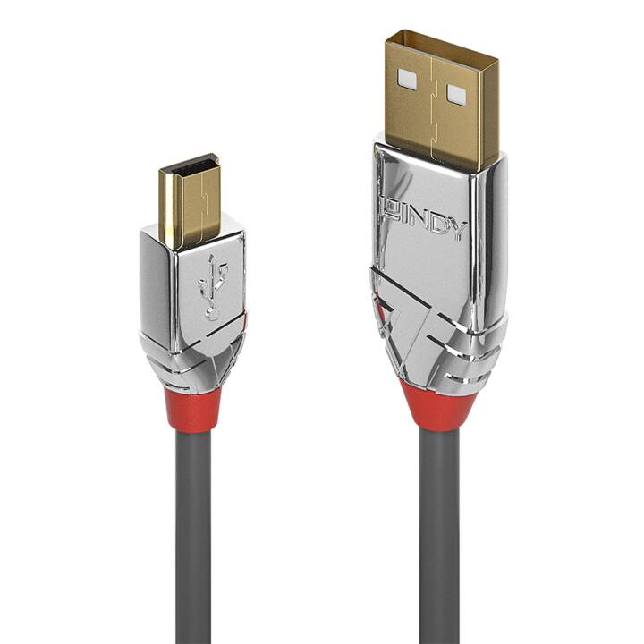 LINDY Câble USB (USB 2.0 Mini Type-B, USB 2.0 Type-A, 5 m)