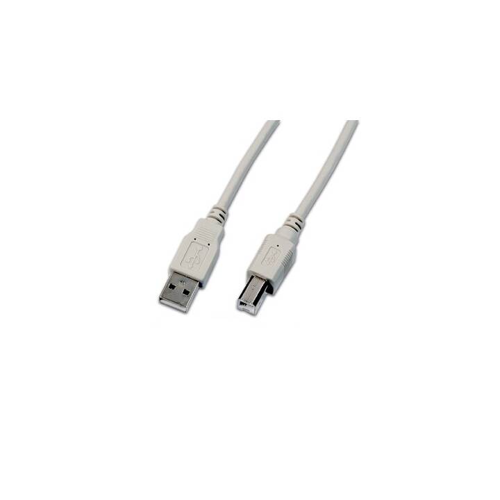 WIREWIN Câble USB (USB 2.0 de type A, USB 2.0 de type B, 1.5 m)