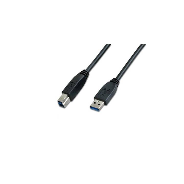 WIREWIN Câble USB (USB 3.0 de type B, USB 3.0 de type A, 3 m)