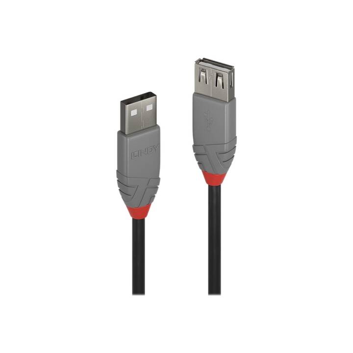 LINDY USB-Kabel (USB 2.0 Typ-A, USB 2.0 Typ-A, 3 m)