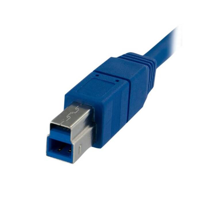STARTECH.COM Câble USB (USB 3.0 de type B, USB 3.0 de type A, 1 m)