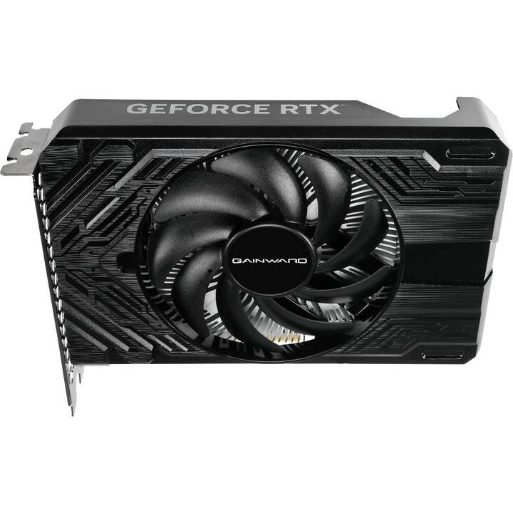 GAINWARD Pegasus Nvidia GeForce RTX 4060 (8 GB)