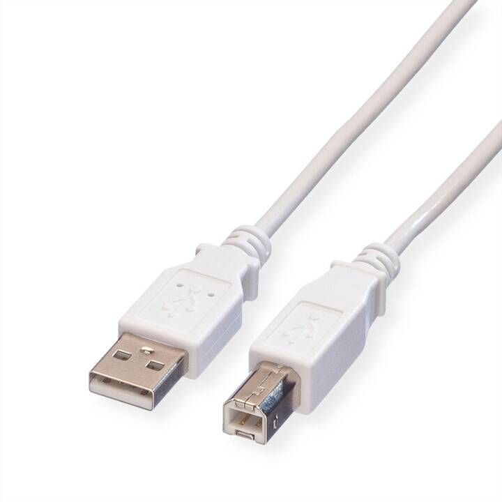 VALUE Cavo USB (USB di tipo A, USB Typ-B, 80 cm)