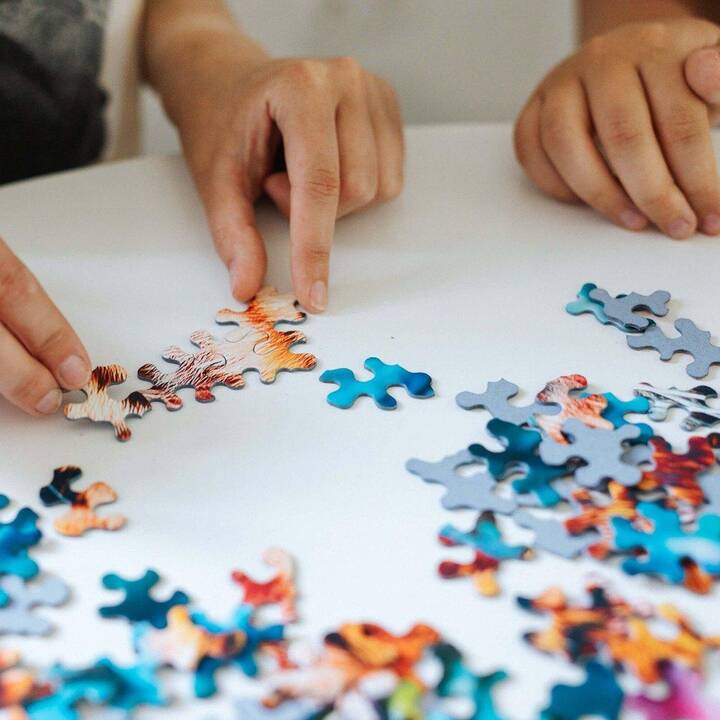 Immagine del prodotto 2