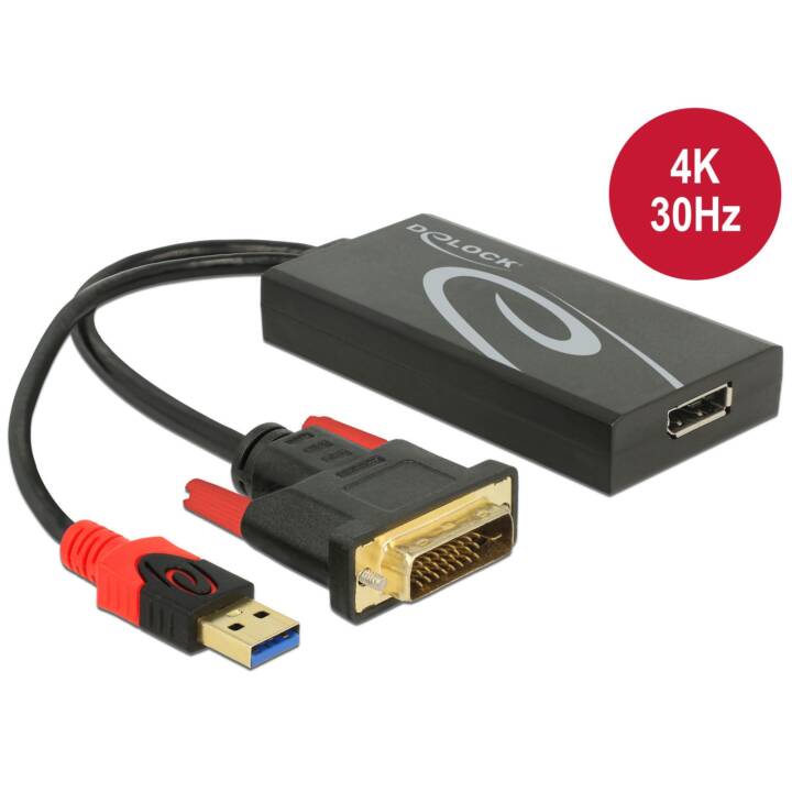 DELOCK Convertitore video (DVI-D, USB Tipo-A)
