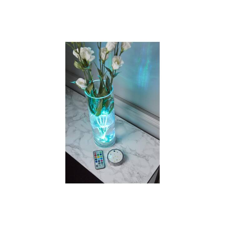 STAR TRADING Water Candele LED (Transparente)