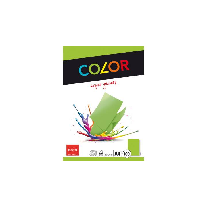 ELCO Office Papier couleur (100 feuille, A4, 80 g/m2)