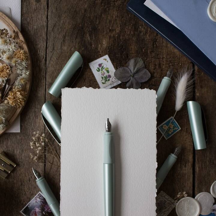 SCHNEIDER Penne stilografice (Argento)