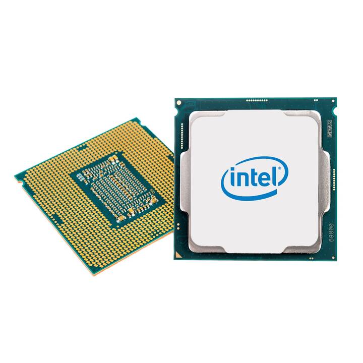 INTEL Xeon E E-2274G (LGA 1151, 4 GHz)