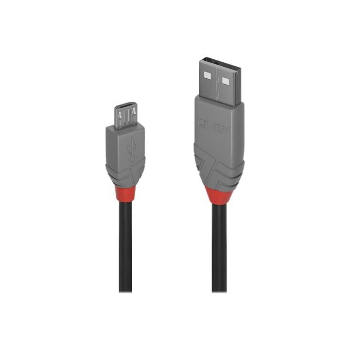 LINDY USB-Kabel (Micro USB 2.0 Typ-B, USB 2.0 Typ-A, 1 m)