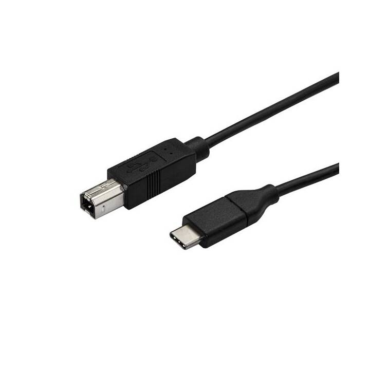 STARTECH USB Typ-C-Kabel - 50 cm