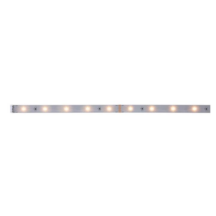 PAULMANN MaxLED 250 Extension LED Light-Strip (100 cm)