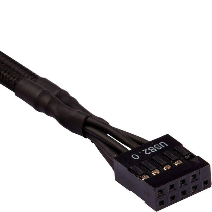 CORSAIR Câble de connexion (2 Pin, USB 2.0, USB 3.0, USB 3.0, USB 2.0, 2 Pin, 0.3 m)