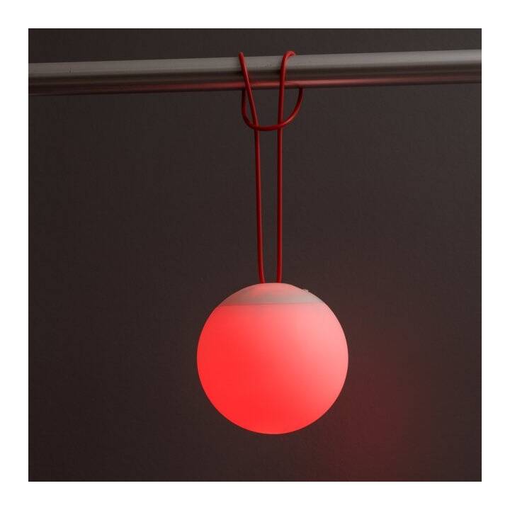 INTERTRONIC Luce d'atmosfera LED Hanging Ball (Rosso, Bianco)