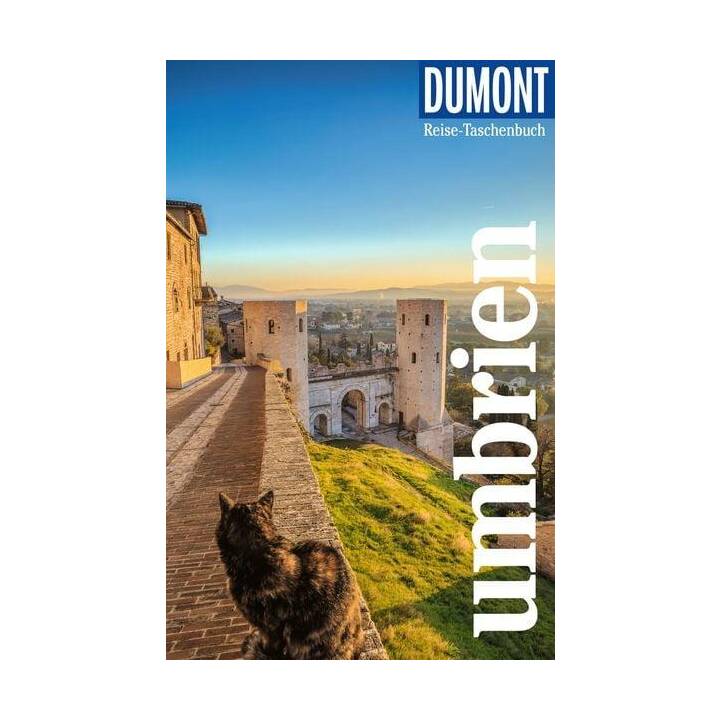 Immagine del prodotto 1