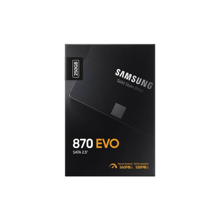 SAMSUNG SSD 870 EVO (SATA-III, 250 GB)