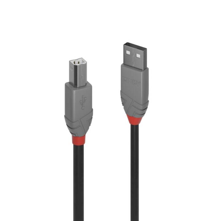 LINDY Cavo USB (USB 2.0 Tipo-B, USB 2.0 Tipo-A, 10 m)