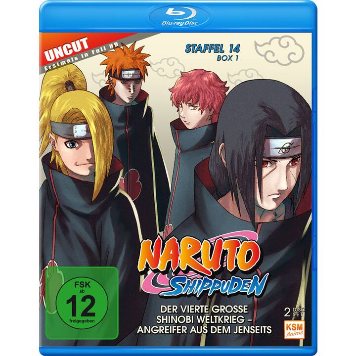 Naruto Shippuden Saison 14 (Uncut, DE, JA)