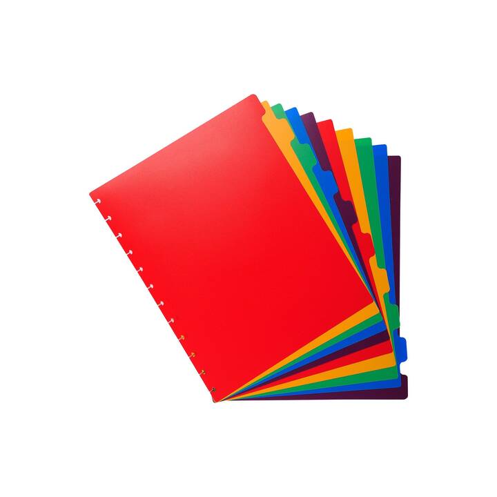 EXACOMPTA Archivio a soffietto (Rosso, Multicolore, A4, 1 pezzo)