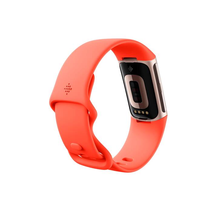 FITBIT Charge 6 (L, S, Coral)