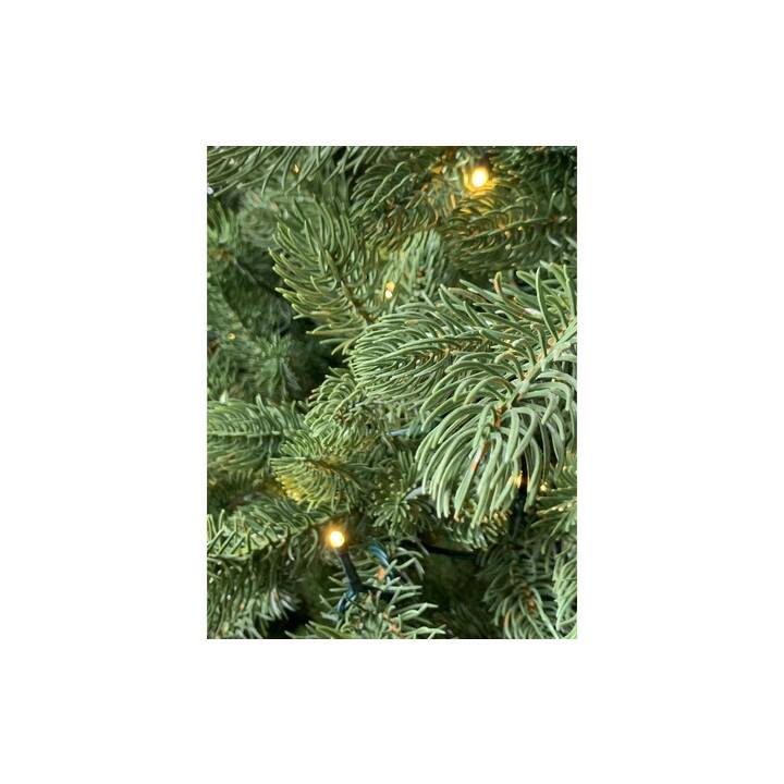 BOTANIC-HAUS Weihnachtsbaum mit LED (150 cm)