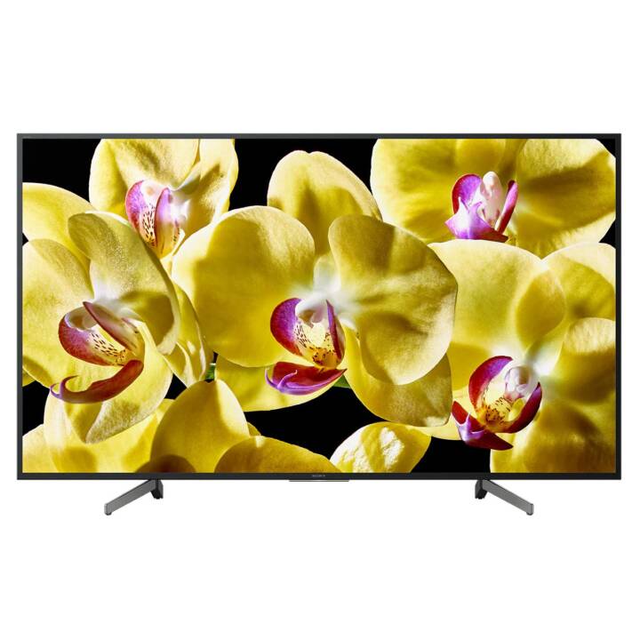 SONY KD-43XG8096 Smart TV (43", LCD, Ultra HD - 4K)