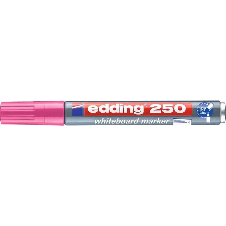 EDDING Whiteboard Marker (Pink, 1 Stück)