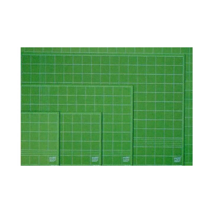 LION OFFICE PRODUCTS Stuoie da taglio (22.0 cm x 30.0 cm, Verde)