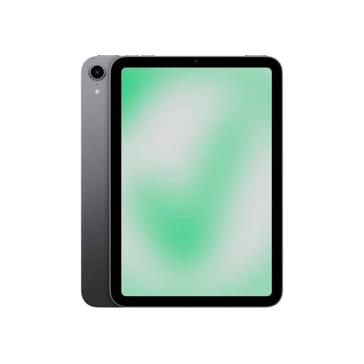 REVENDO iPad mini 6.Gen (2021) (8.3", 64 GB, Space Grau)