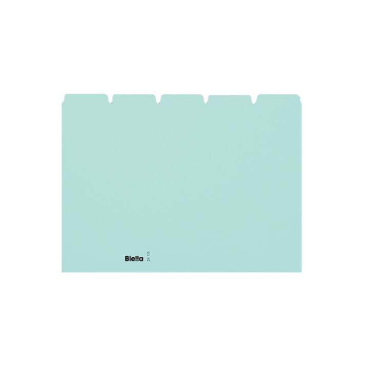 BIELLA Indice per cartelle sospese (A5, Blu, In bianco, 1 pezzo)