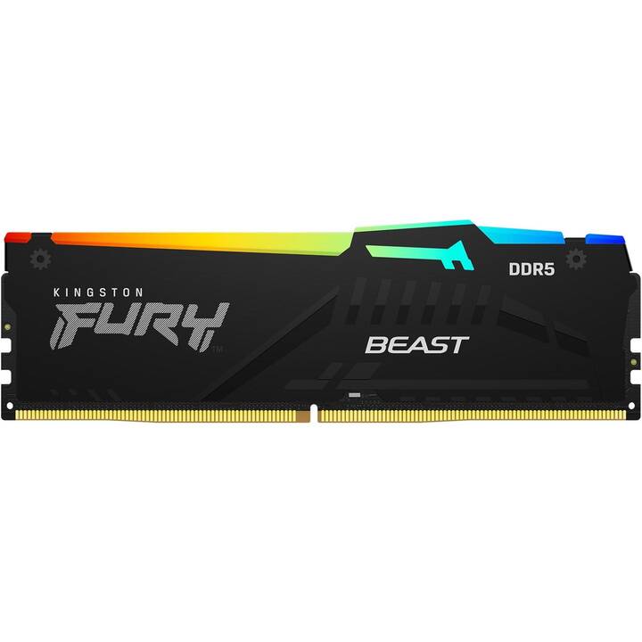 KINGSTON TECHNOLOGY Fury Beast KF560C36BBEA-32 (1 x 32 Go, DDR5 6000 MHz, DIMM 288-Pin)