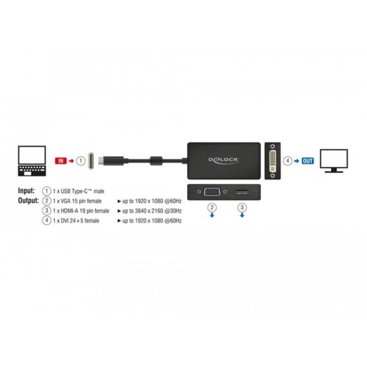 DELOCK Adaptateur vidéo (HDMI, DVI-D, VGA)