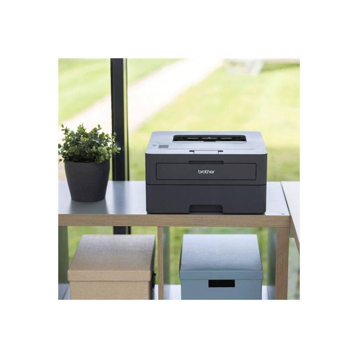 BROTHER HL-L2445DW (Stampante laser, Bianco e nero, WLAN)