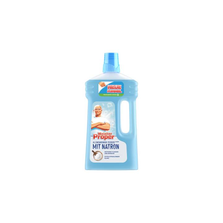 MEISTER PROPER Detergente multiuso (1000 ml)